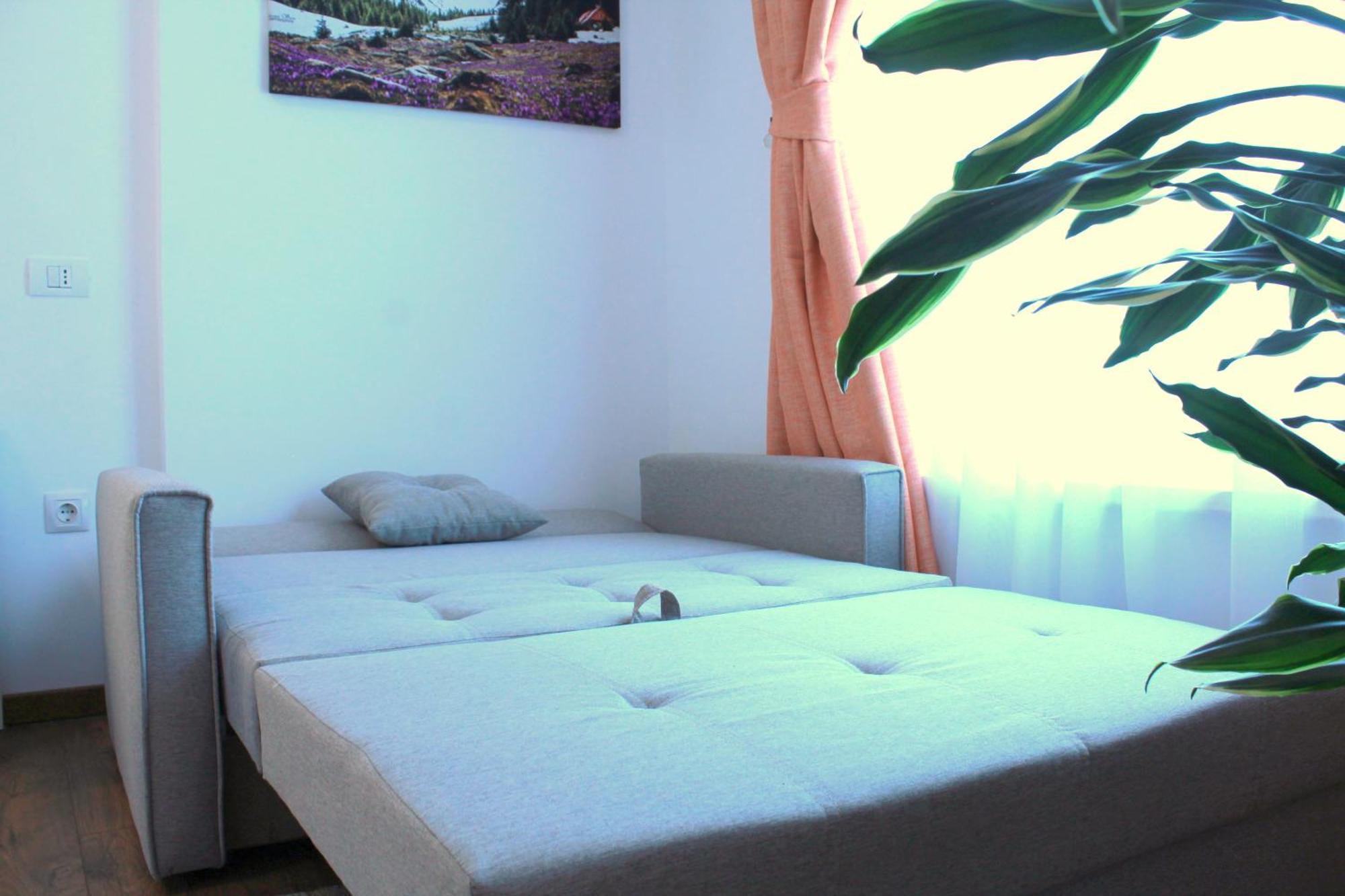 Apartament Traditional Romanian