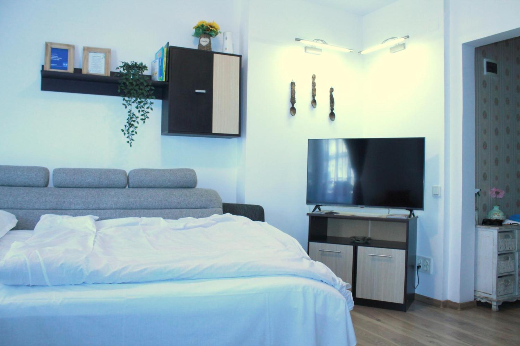 Appartement Traditional Romanian
